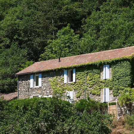 Les Jardins De Lumiere Bed & Breakfast Brusque Exterior foto