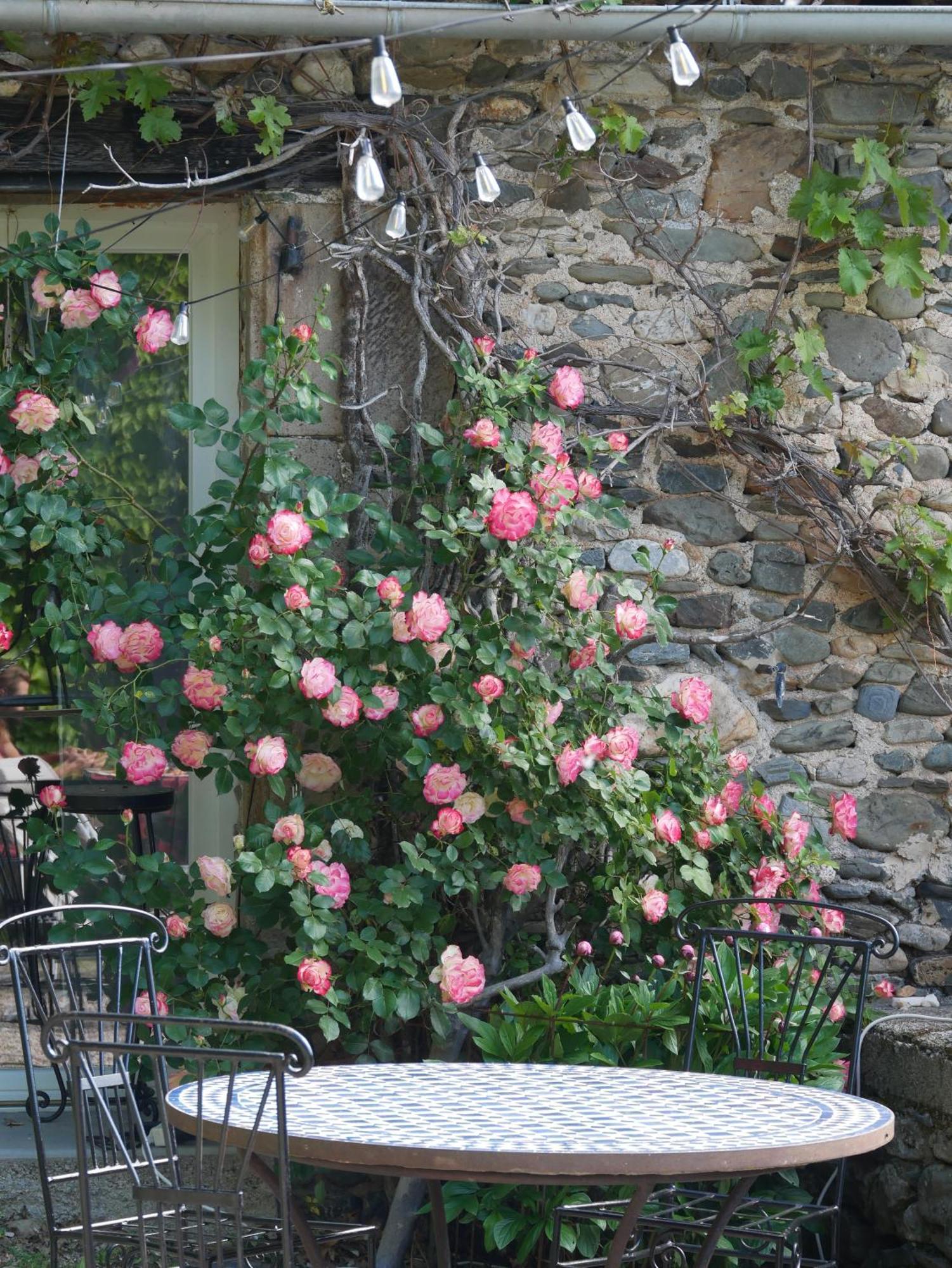 Les Jardins De Lumiere Bed & Breakfast Brusque Exterior foto